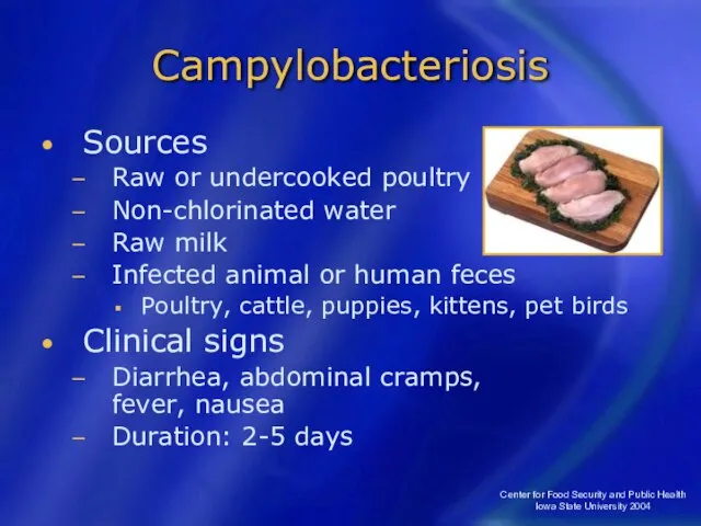 Center for Food Security and Public Health Iowa State University 2004 Campylobacteriosis
