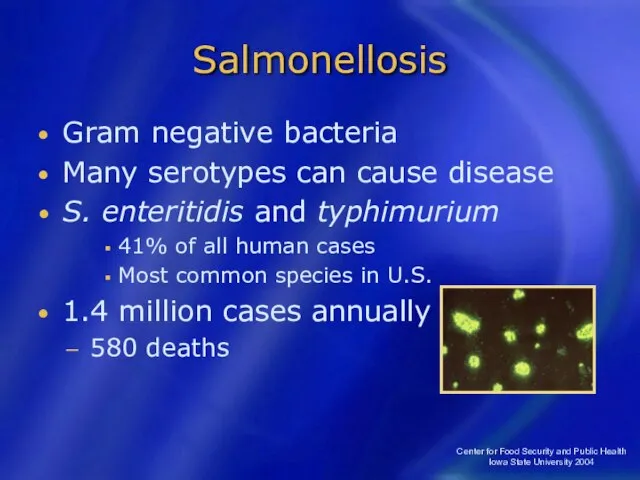Center for Food Security and Public Health Iowa State University 2004 Salmonellosis