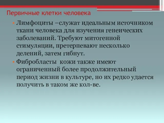 Первичные клетки человека Лимфоциты –служат идеальным источником ткани человека для изучения генеических