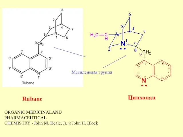 ORGANIC MEDICINALAND PHARMACEUTICAL CHEMISTRY - John M. Beale, Jr. и John H.