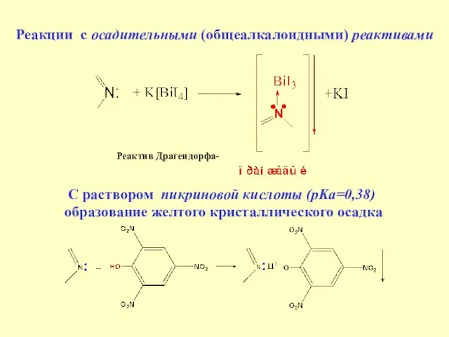 Реакции с осадительными (общеалкалоидными) реактивами Реактив Драгендорфа- С раствором пикриновой кислоты (pKa=0,38) образование желтого кристаллического осадка
