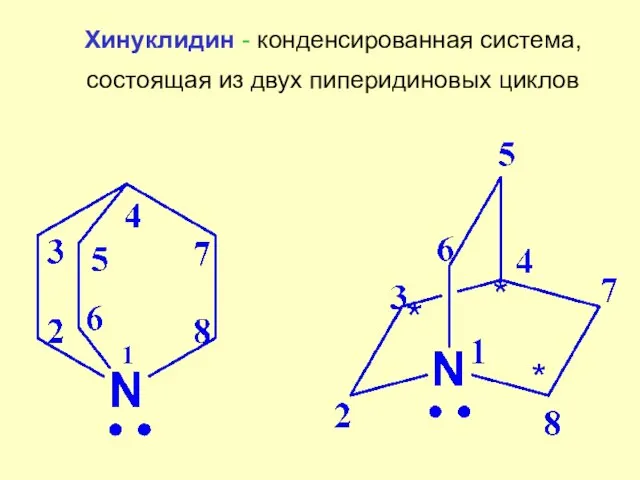 Хинуклидин - конденсированная система, состоящая из двух пиперидиновых циклов