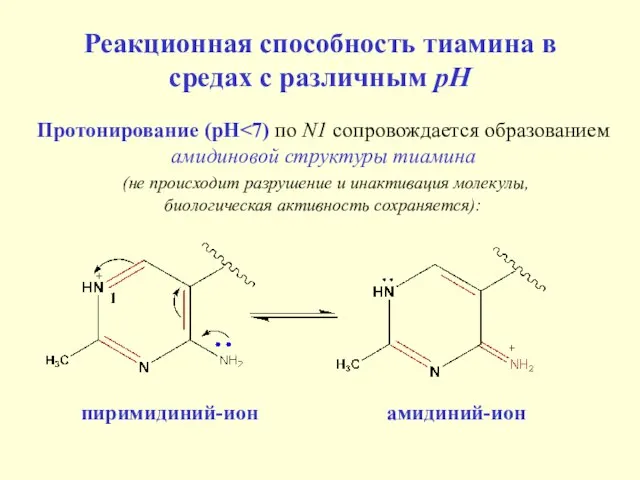 Реакционная способность тиамина в средах с различным рН пиримидиний-ион амидиний-ион Протонирование (рН