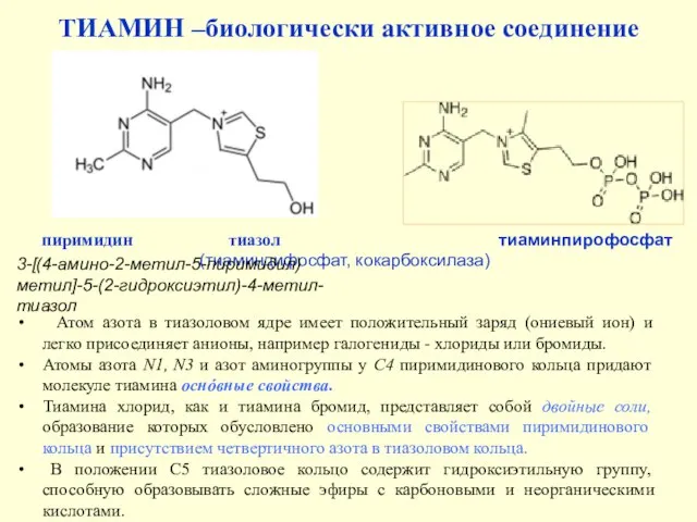 ТИАМИН –биологически активное соединение пиримидин тиазол тиаминпирофосфат (тиаминдифосфат, кокарбоксилаза) Атом азота в