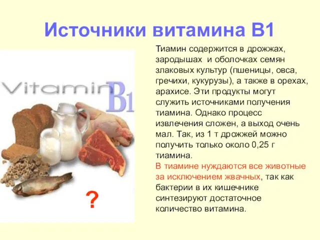 Источники витамина В1 Тиамин содержится в дрожжах, зародышах и оболочках семян злаковых