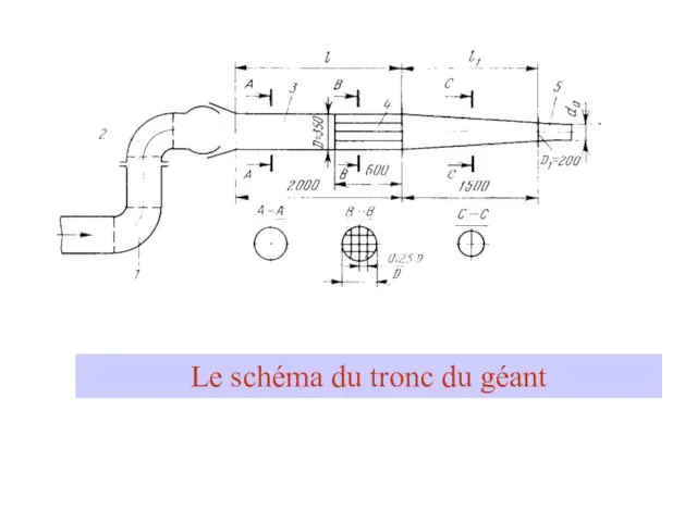 Le schéma du tronc du géant