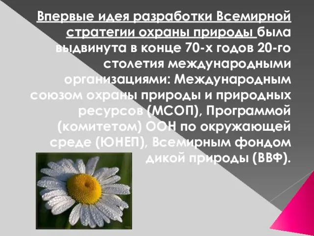 Впервые идея разработки Всемирной стратегии охраны природы была выдвинута в конце 70-х