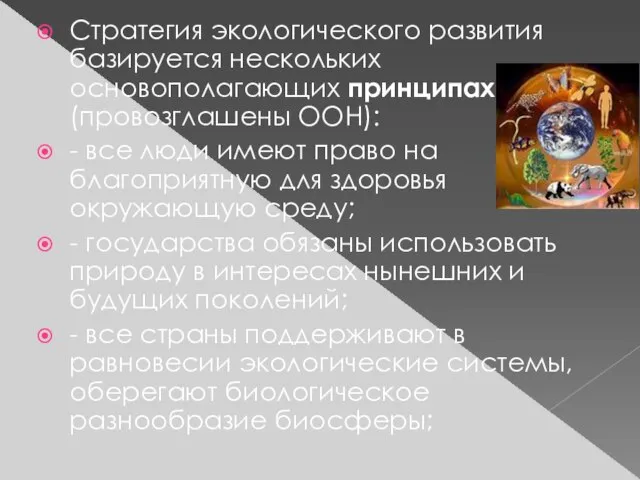 Стратегия экологического развития базируется нескольких основополагающих принципах ( (провозглашены ООН): - все