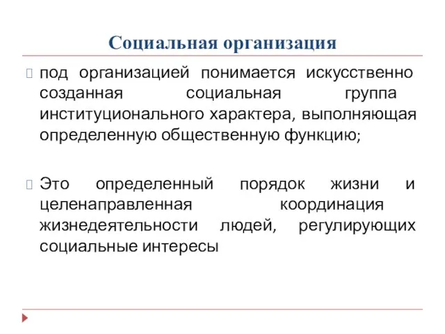 Социальная организация под организацией понимается искусственно созданная социальная группа институционального характера, выполняющая