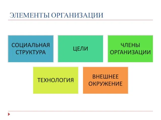 ЭЛЕМЕНТЫ ОРГАНИЗАЦИИ