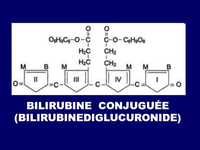 BILIRUBINE CONJUGUÉE (BILIRUBINEDIGLUCURONIDE)