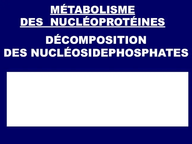 MÉTABOLISME DES NUCLÉOPROTÉINES DÉCOMPOSITION DES NUCLÉOSIDEPHOSPHATES P-U-А → P + U-А; U-А