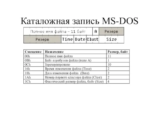 Каталожная запись MS-DOS