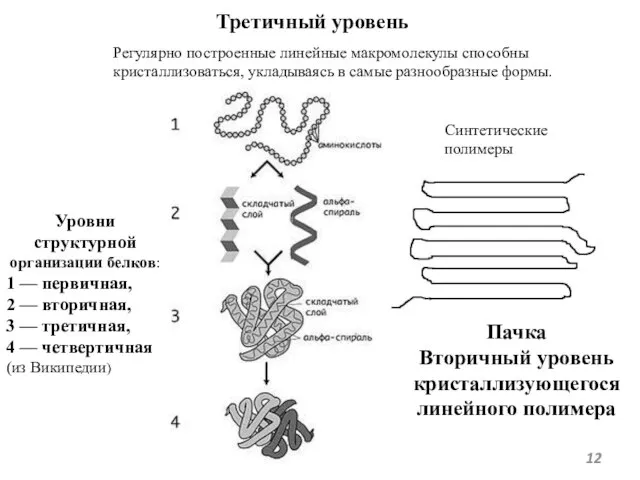 Третичный уровень Регулярно построенные линейные макромолекулы способны кристаллизоваться, укладываясь в самые разнообразные