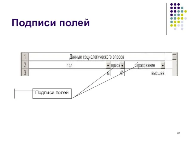 Подписи полей Подписи полей