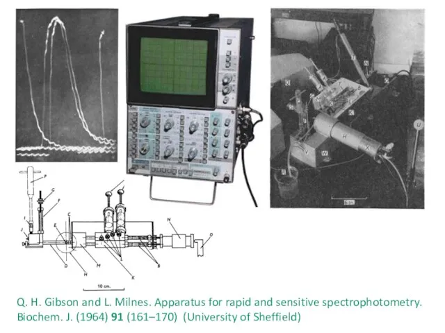 Q. H. Gibson and L. Milnes. Apparatus for rapid and sensitive spectrophotometry.