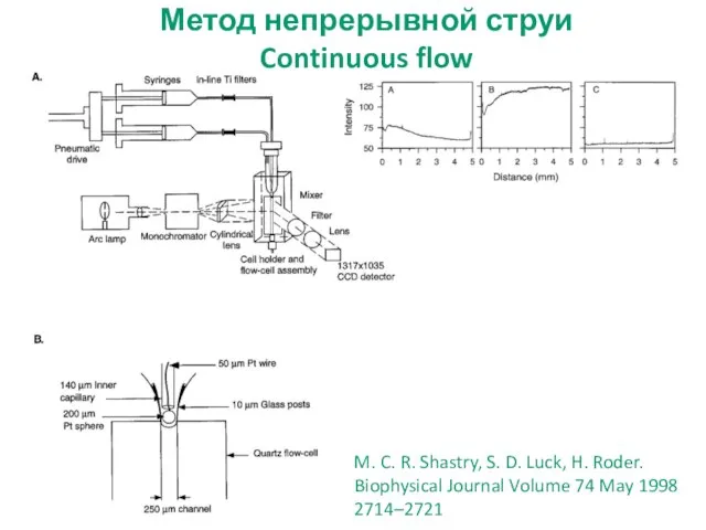 M. C. R. Shastry, S. D. Luck, H. Roder. Biophysical Journal Volume