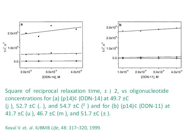 Square of reciprocal relaxation time, s ¡ 2, vs oligonucleotide concentrations for