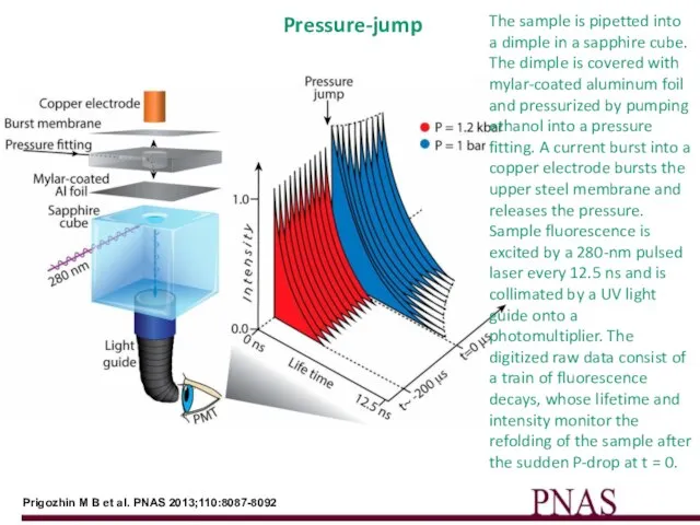 Prigozhin M B et al. PNAS 2013;110:8087-8092 Pressure-jump The sample is pipetted