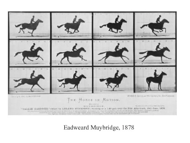 Eadweard Muybridge, 1878