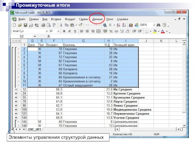 Промежуточные итоги Элементы управления структурой данных