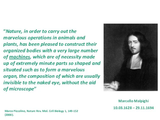 Marcello Malpighi 10.03.1628 – 29.11.1694 “Nature, in order to carry out the