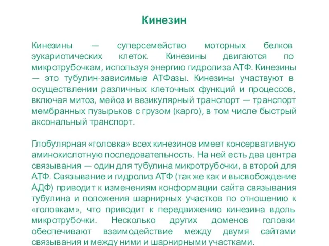 Кинезин Кинезины — суперсемейство моторных белков эукариотических клеток. Кинезины двигаются по микротрубочкам,