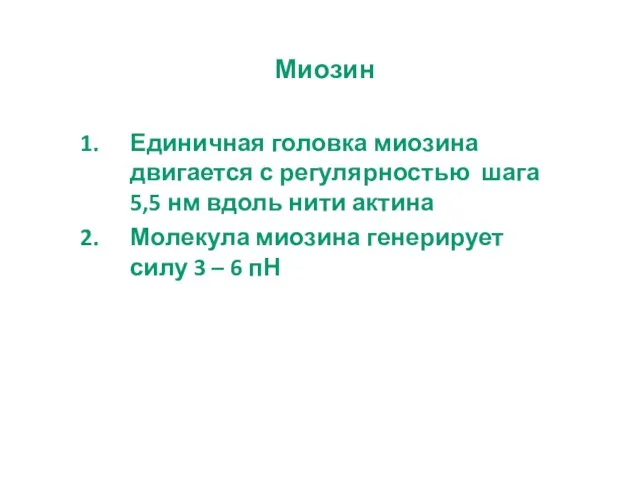 Миозин Единичная головка миозина двигается с регулярностью шага 5,5 нм вдоль нити