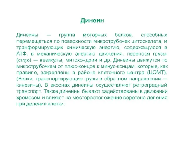 Динеин Динеины — группа моторных белков, способных перемещаться по поверхности микротрубочек цитоскелета,