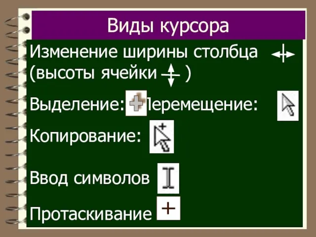 Виды курсора Изменение ширины столбца (высоты ячейки ) Выделение: Перемещение: Копирование: Ввод символов Протаскивание