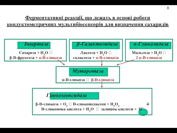 Ферментативні реакції, що лежать в основі роботи кондуктометричних мультибіосенсорів для визначення сахаридів 8