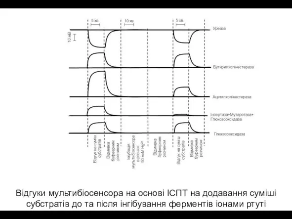 Відгуки мультибіосенсора на основі ІСПТ на додавання суміші субстратів до та після інгібування ферментів іонами ртуті