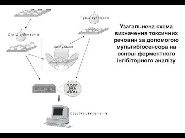 Узагальнена схема визначення токсичних речовин за допомогою мультибіосенсора на основі ферментного інгібіторного аналізу