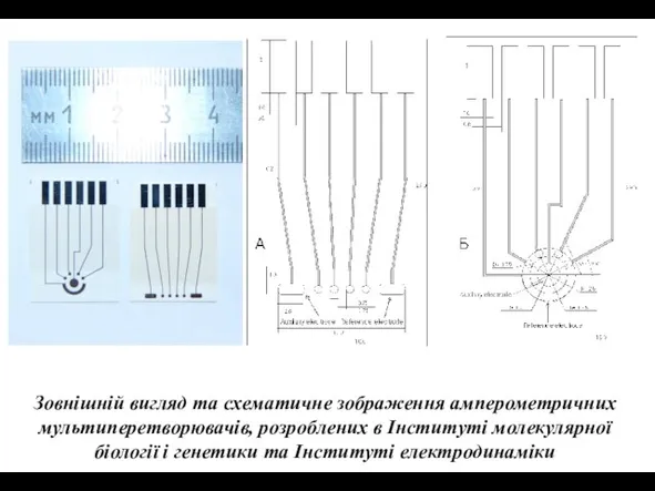 Зовнішній вигляд та схематичне зображення амперометричних мультиперетворювачів, розроблених в Інституті молекулярної біології