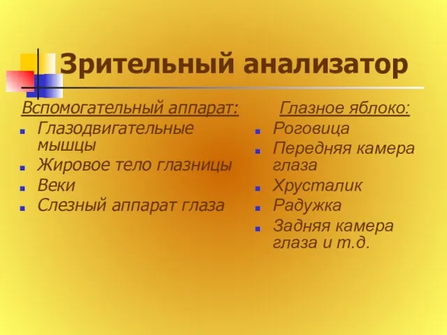 Зрительный анализатор Вспомогательный аппарат: Глазодвигательные мышцы Жировое тело глазницы Веки Слезный аппарат