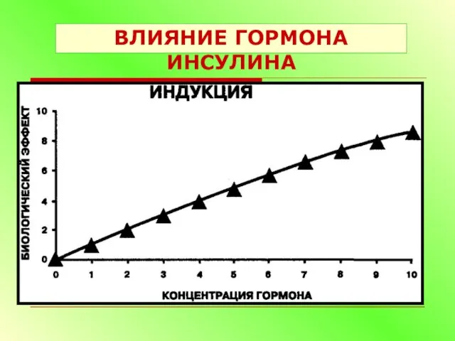 ВЛИЯНИЕ ГОРМОНА ИНСУЛИНА