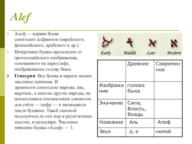 Alef А́леф — первая буква семитских алфавитов (еврейского, финикийского, арабского и др.).