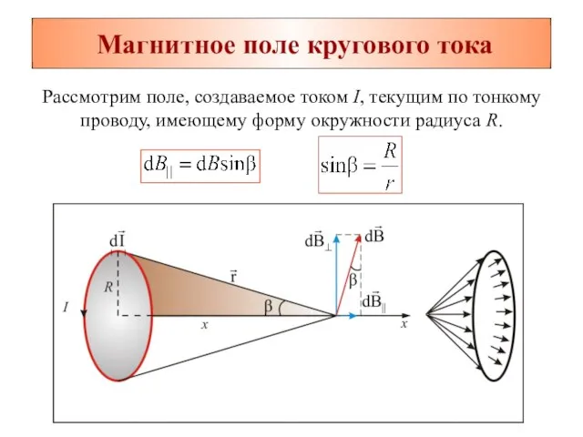 Магнитное поле кругового тока Рассмотрим поле, создаваемое током I, текущим по тонкому