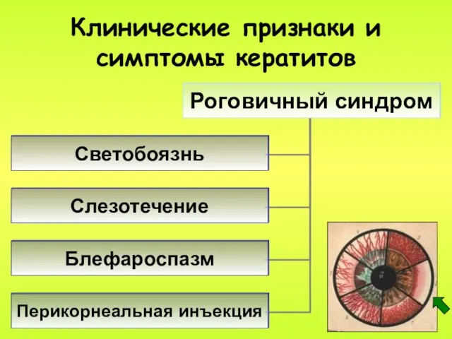 Клинические признаки и симптомы кератитов