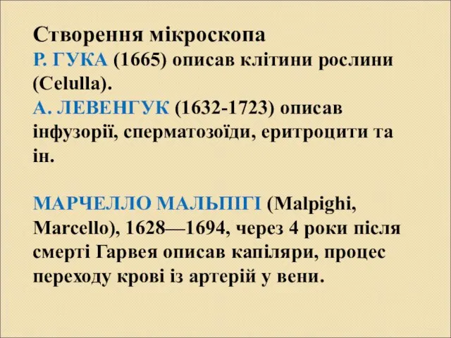 Створення мікроскопа Р. ГУКА (1665) описав клітини рослини (Celulla). А. ЛЕВЕНГУК (1632-1723)