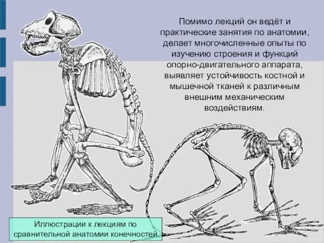 Помимо лекций он ведёт и практические занятия по анатомии, делает многочисленные опыты