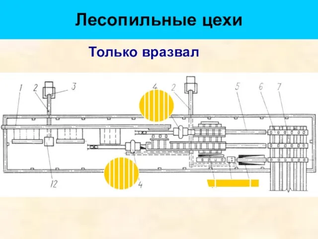 Лесопильные цехи Только вразвал