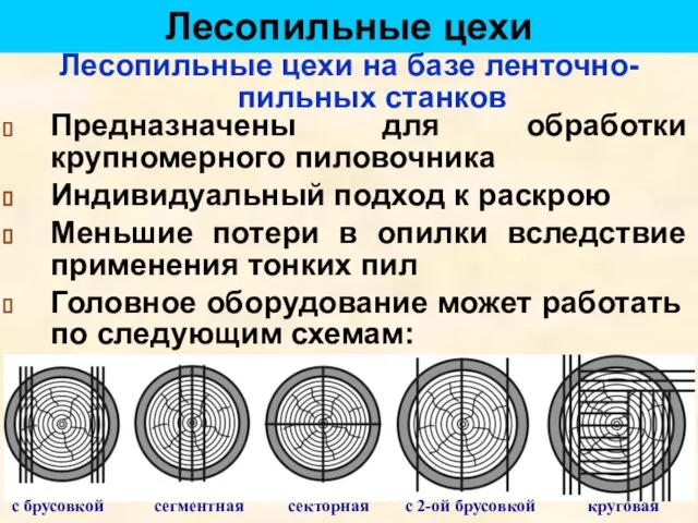 Лесопильные цехи Лесопильные цехи на базе ленточно-пильных станков Предназначены для обработки крупномерного