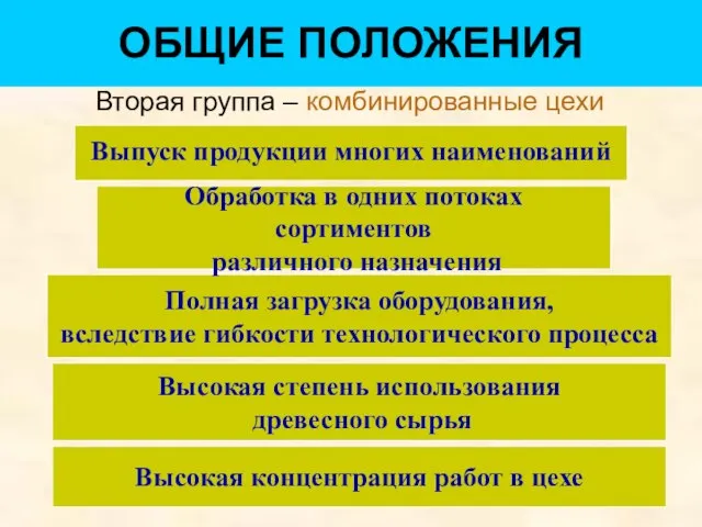 ОБЩИЕ ПОЛОЖЕНИЯ Вторая группа – комбинированные цехи Выпуск продукции многих наименований Полная