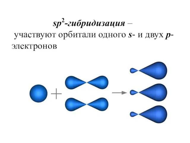 одного s- и двух p-электронов (рис. 1). sp2-гибридизация – участвуют орбитали одного s- и двух p-электронов