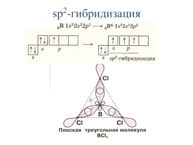 sp2-гибридизация