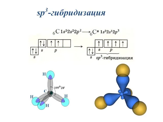 sp3-гибридизация