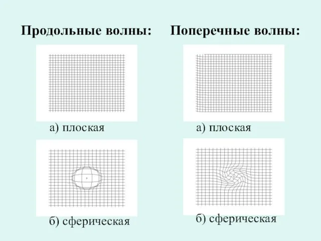 Продольные волны: Поперечные волны: а) плоская а) плоская б) сферическая б) сферическая