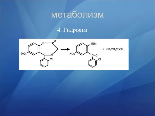 метаболизм 4. Гидролиз