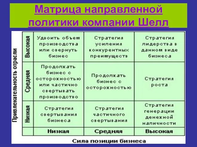 Матрица направленной политики компании Шелл